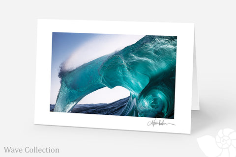 Wave Collection (Pack of 5)