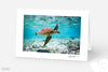 Ocean Life Collection (Pack of 5)