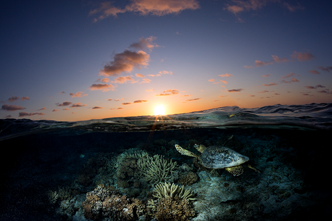 Hawksbill Sunrise